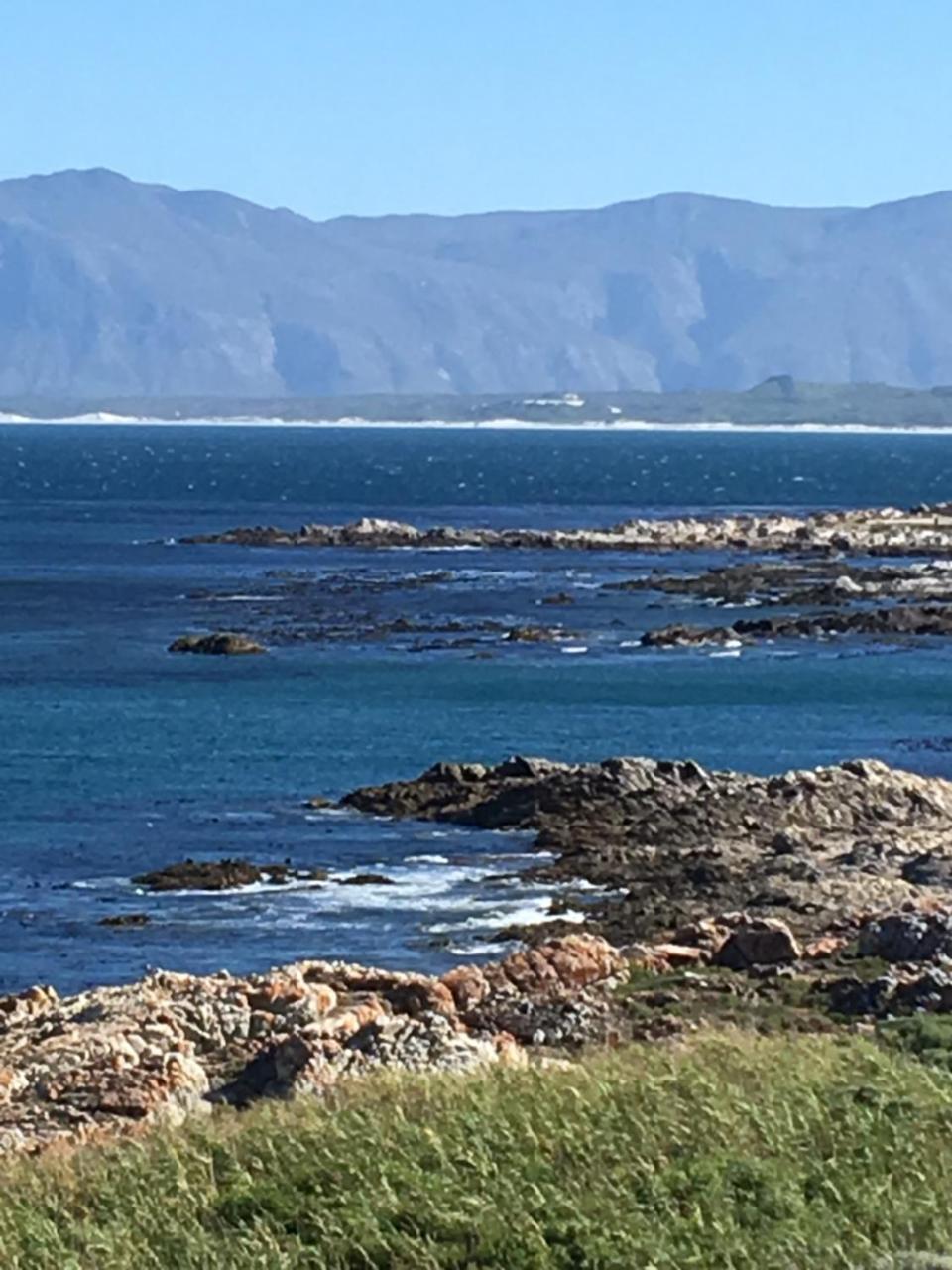 Royal Albatros Apartment Gansbaai Exterior photo